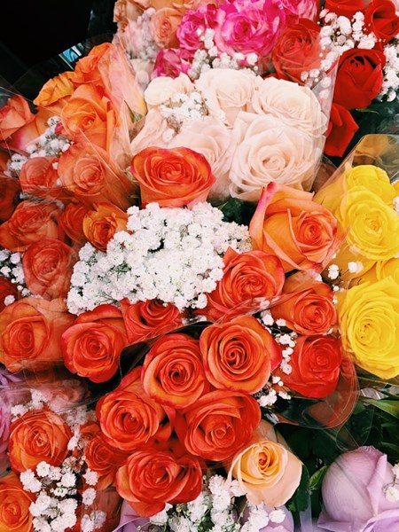 Colorful_Roses_With_White_Babys_Breath_Bouquets_Valentines_Day_Flowers