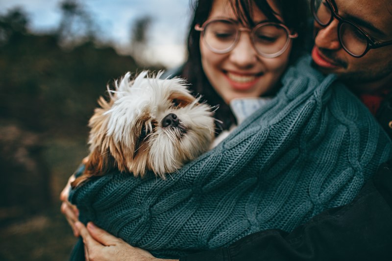 National_Adopt_a_Shelter_Pet_Day
